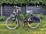 Solex Oto