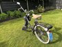 Solexen te koop